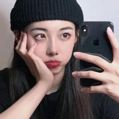 哈莱姆的郁金香