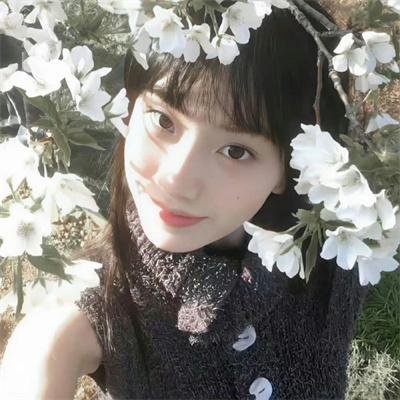 红粉舵爷